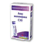Апис меллифика (Apis mellifica)
